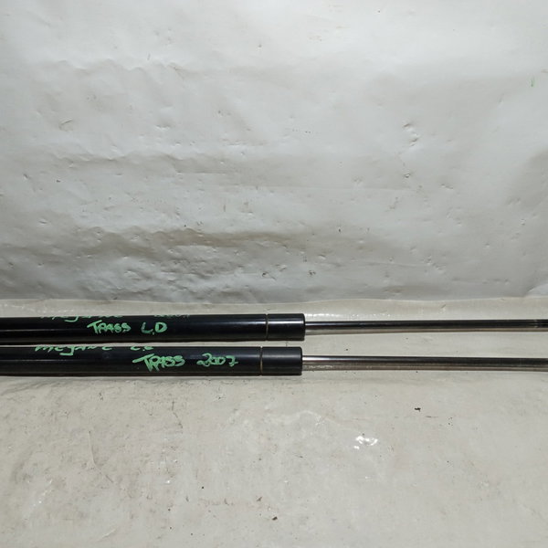 Amortecedor Tampa Traseira Renault Megane Grand Tour 2007