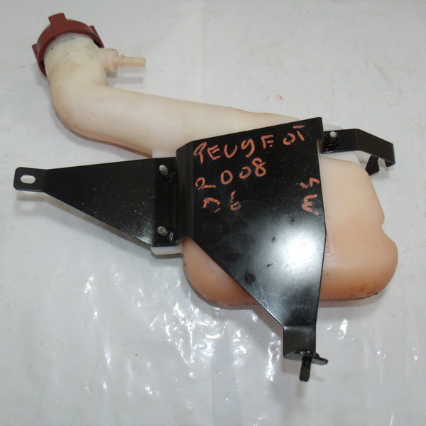 Reservatorio Partida Fria Gasolina Peugeot 206 2008