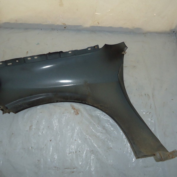 Paralama Lado Direito Peugeot 206 2005