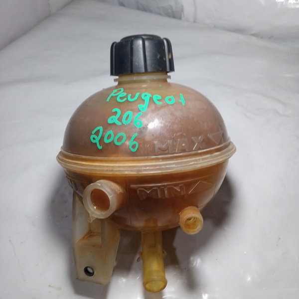Reservatório Agua Radiador Citroen Peugeot 206 2006