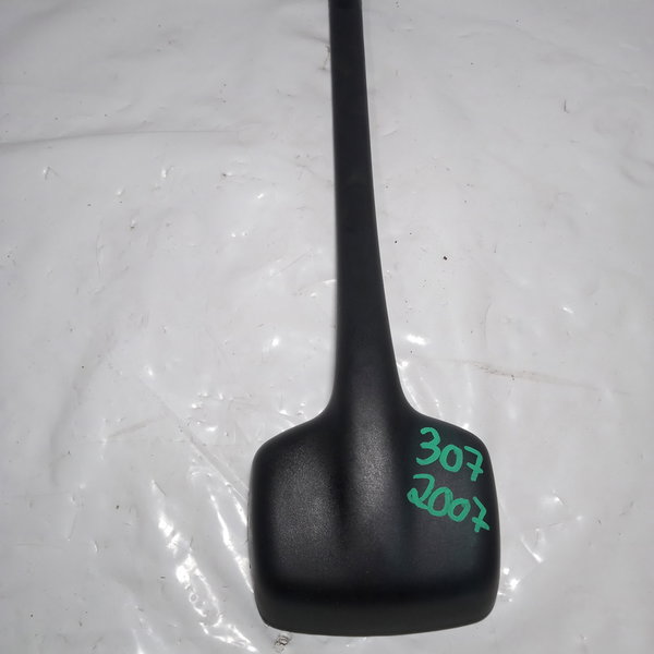 Sensor De Chuva Com Moldura Peugeot 307 2007