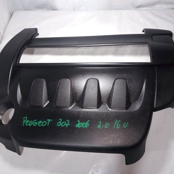 Capa Motor Peugeot 307 2006 2.0 16v