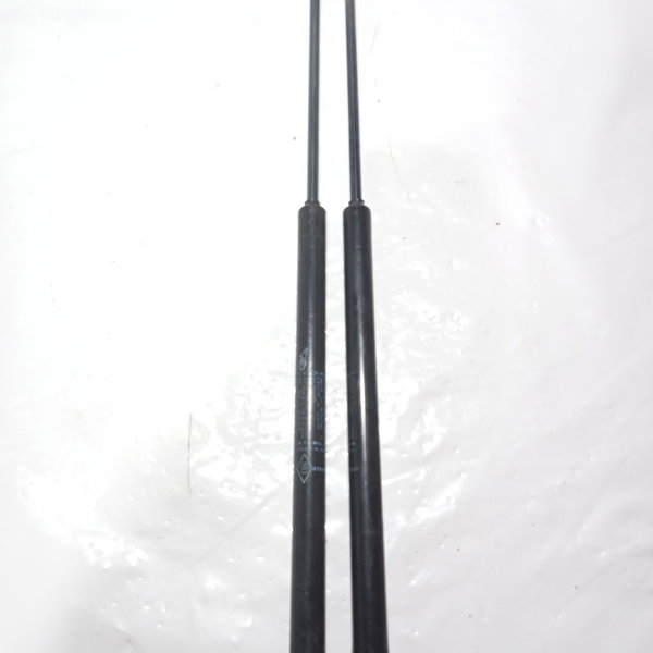 Amortecedor Da Tampa Traseira Renault Sandero 2008 Par