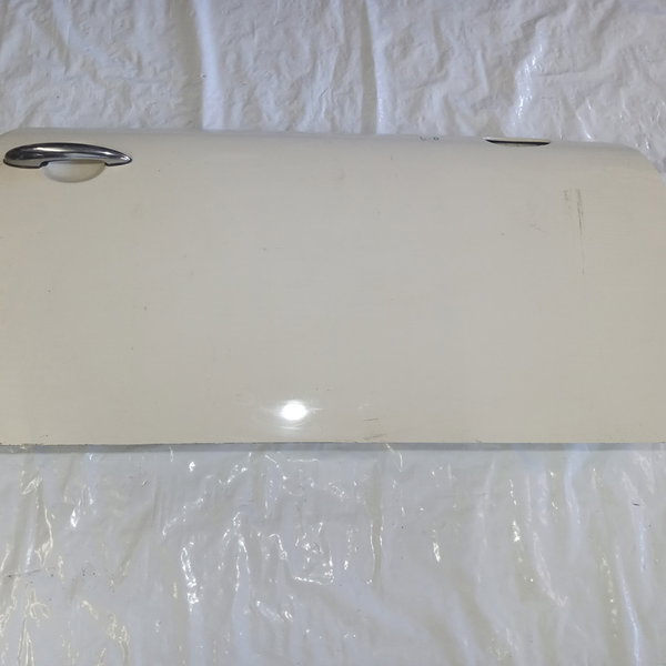 Porta Lado Direito Minicooper 2010 (bege)