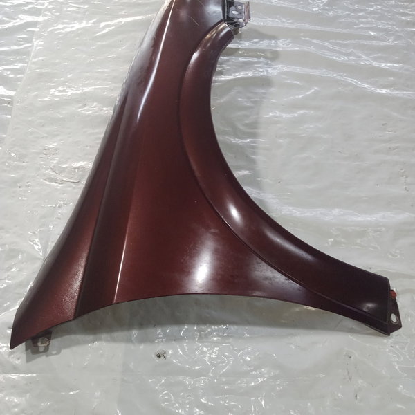 Paralama Lado Direito Gm Astra 1999 (bordo)