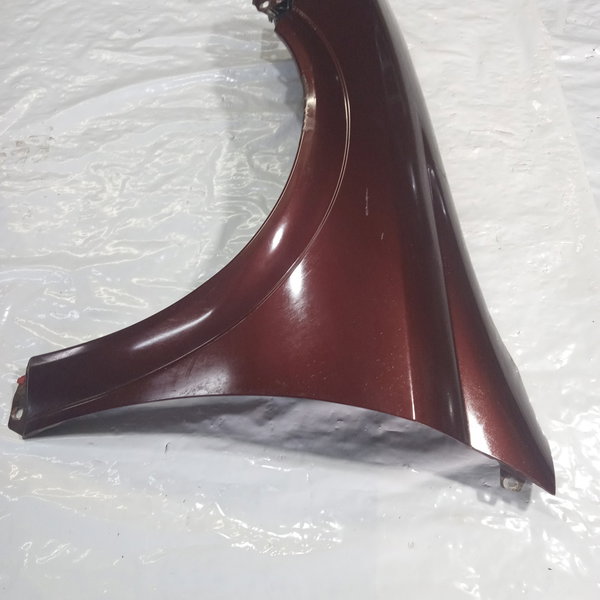 Paralama Lado Esquerdo Gm Astra 1998 (bordo)