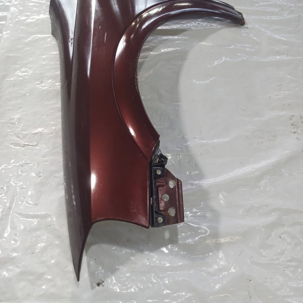 Paralama Lado Esquerdo Gm Astra 1998 (bordo)