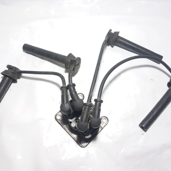 Bobina De Ignição Fiat Bravo 1.8 2013 Etorq