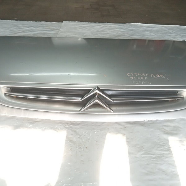 Capo Dianteiro Citroen Xsara Picasso 2005 (prata)