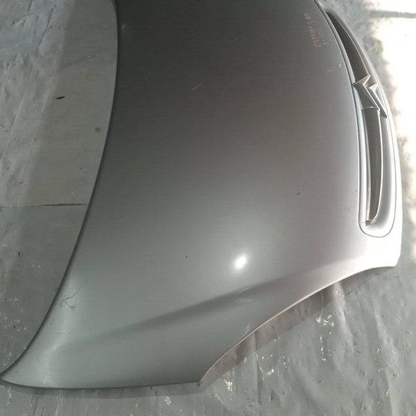 Capo Dianteiro Citroen Xsara Picasso 2005 (prata)