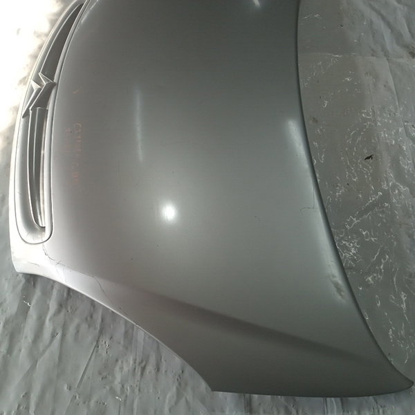 Capo Dianteiro Citroen Xsara Picasso 2005 (prata)