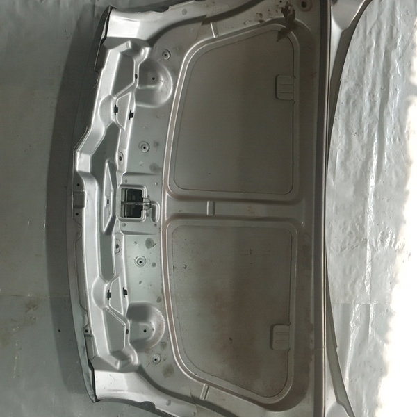 Capo Dianteiro Citroen Xsara Picasso 2005 (prata)