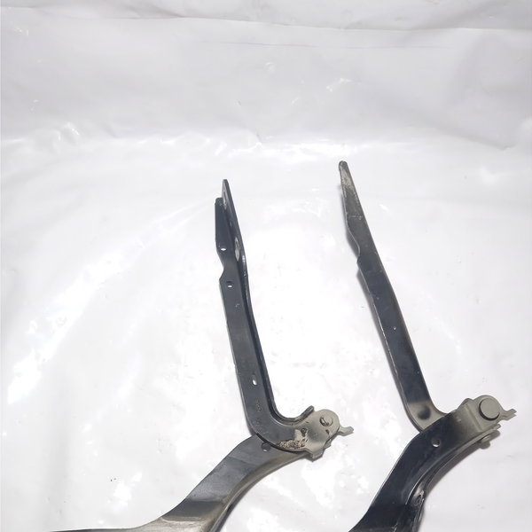 Dobradiça Do Capô Peugeot 307 2006