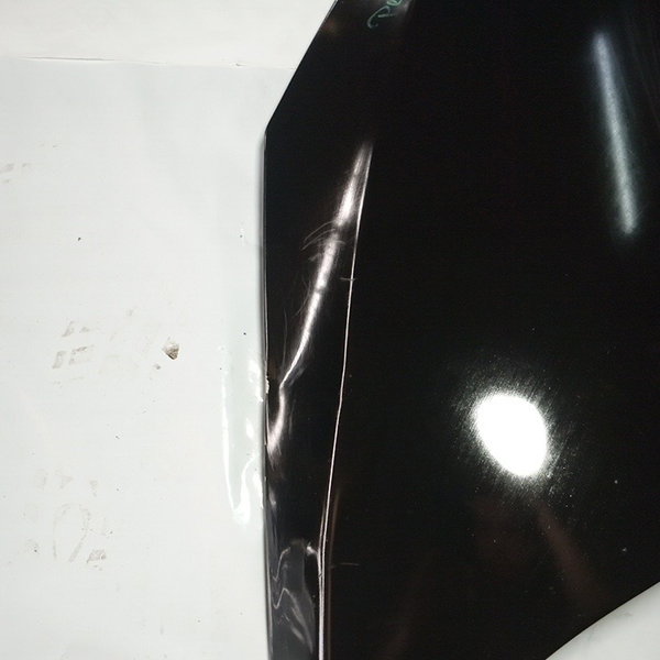 Capo Dianteiro Peugeot 307 2006 2.0 16v Com Detalhe