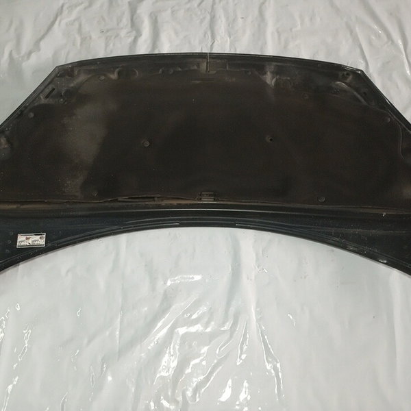 Capo Dianteiro Peugeot 307 2006 2.0 16v Com Detalhe