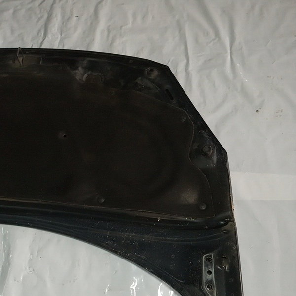 Capo Dianteiro Peugeot 307 2006 2.0 16v Com Detalhe