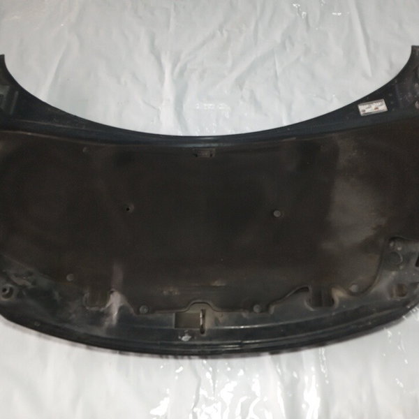 Capo Dianteiro Peugeot 307 2006 2.0 16v Com Detalhe