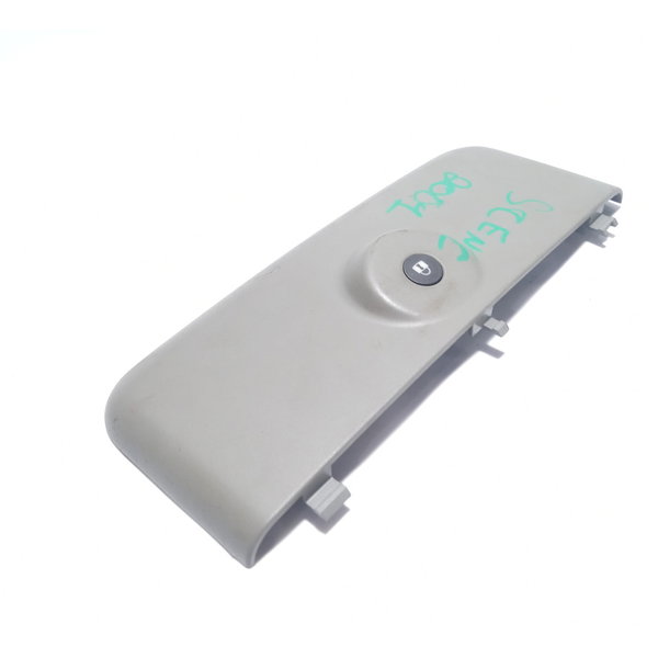 Acabamento Moldura Luz De Teto Renault Scenic 2001