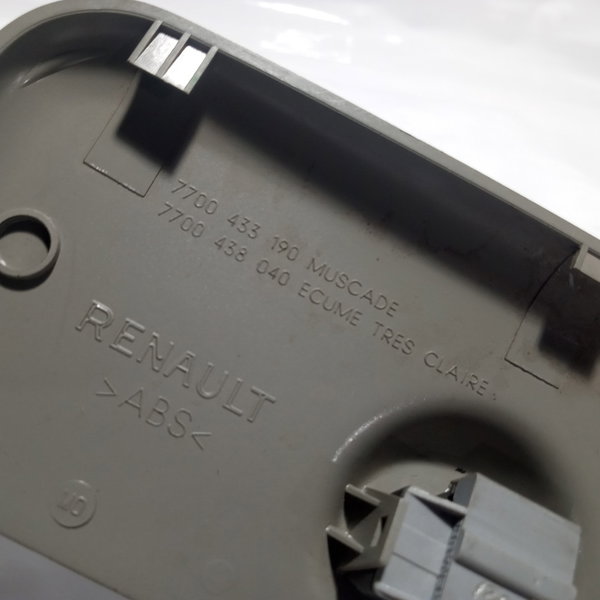Acabamento Moldura Luz De Teto Renault Scenic 2001