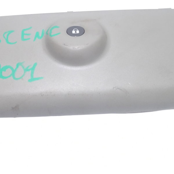 Acabamento Moldura Luz De Teto Renault Scenic 2001