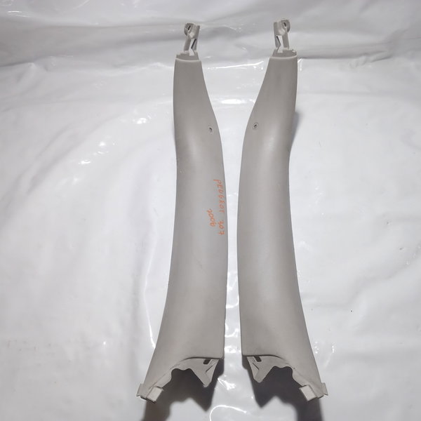 Acabamentos Moldura Int. Vidros Traseiros Peugeot 307 2006