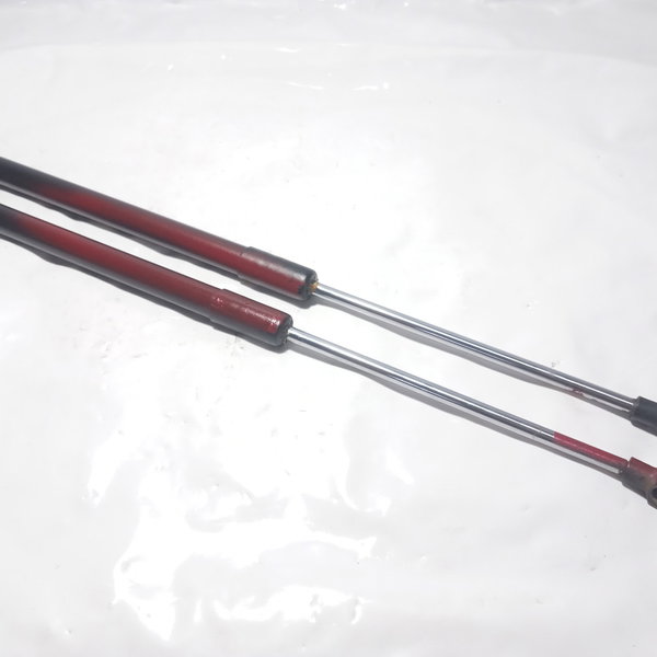 Amortecedores Capô Traseiro Ford Ka 2012 Par