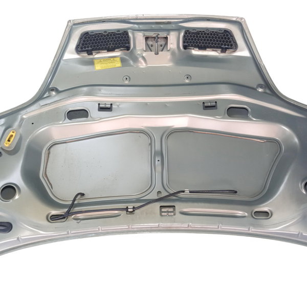 Capo Dianteiro Renault Scenic 2005 Usado 2255109