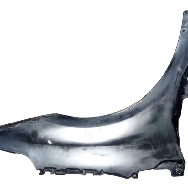 Paralama Esquerdo Citroen C4 Pallas 2009 Detalhes Usado