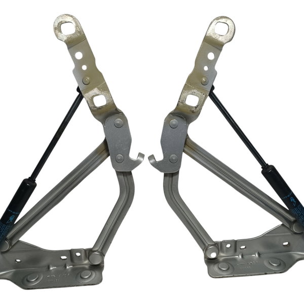 Dobradiça Tampa Traseira Renault Megane 2008 Par