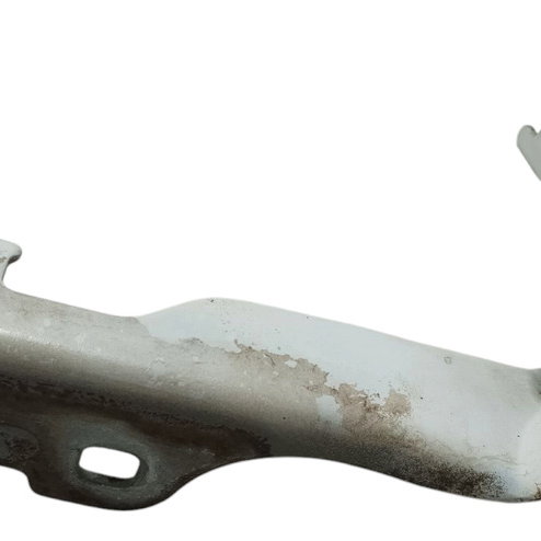 Dobradiça Capô Dianteiro Renault Clio 2006 Par