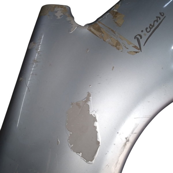 Paralama Citroen Picasso 2005 Esquerdo Detalhes Usado