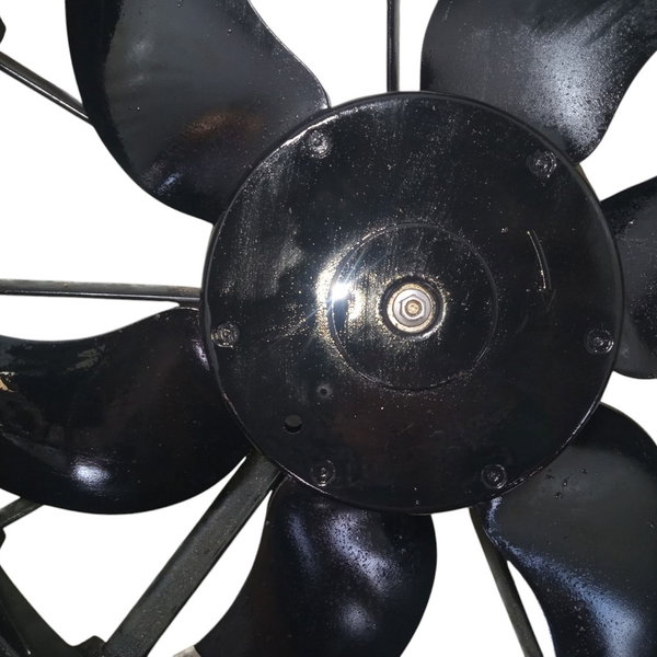 Ventoinha Com Defletor Renault Scenic 2004