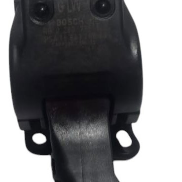 Pedal Acelerador Eletrônico Citroen C4 Pallas 2009