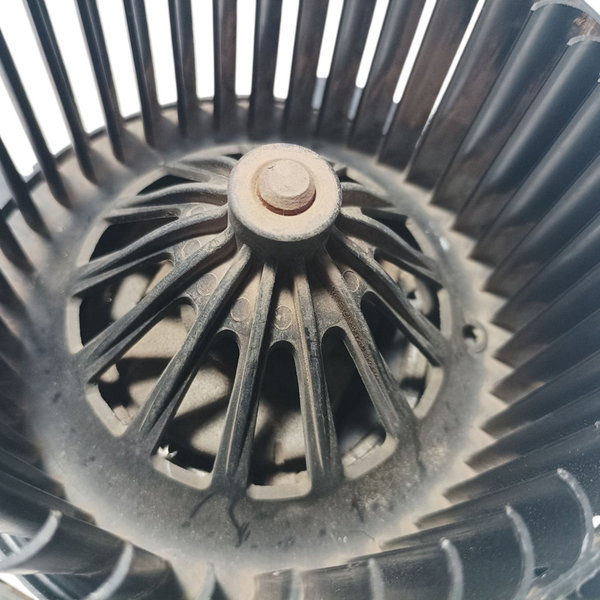 Eletroventilador Interno Ar Condicionado Citroen C4 2010
