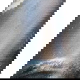 Cardan Traseiro Kia Sportage 2000 Pequena