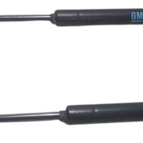 Amortecedor Tampa Traseira Gm Celta 2003 Par