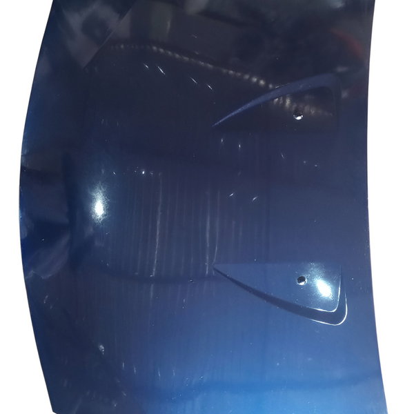 Capo Dianteiro Renault Sandero 2010