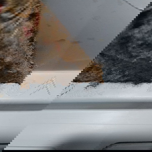 Acabamento Suporte Bagagito Esquerdo Citroen Picasso 2005