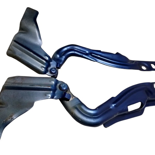 Dobradiça Capo Dianteiro Fiat Bravo 2012 Par