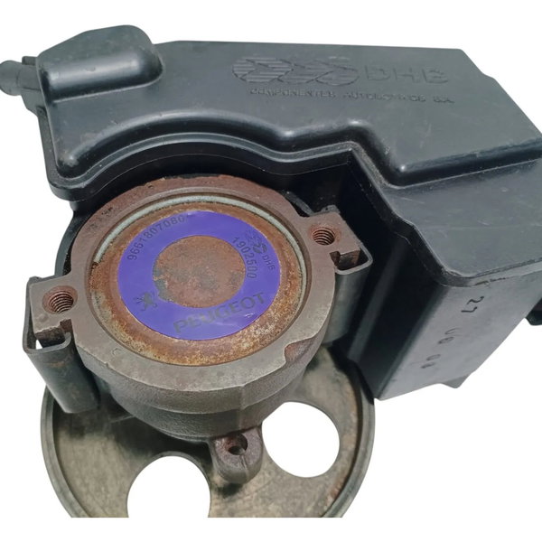 Bomba Direção Hidráulica Peugeot 206 207 1.4
