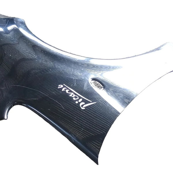 Paralama Citreon Xsara Picasso 2009 Lado Direito