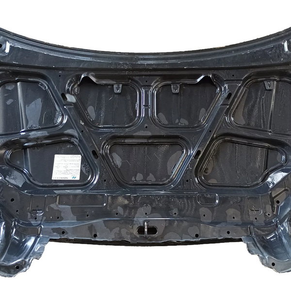 Capo Dianteiro Hyundai Tucson 2006