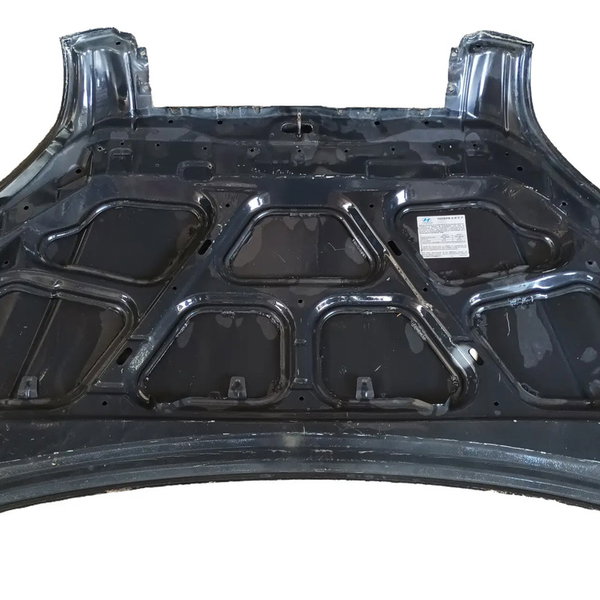 Capo Dianteiro Hyundai Tucson 2006