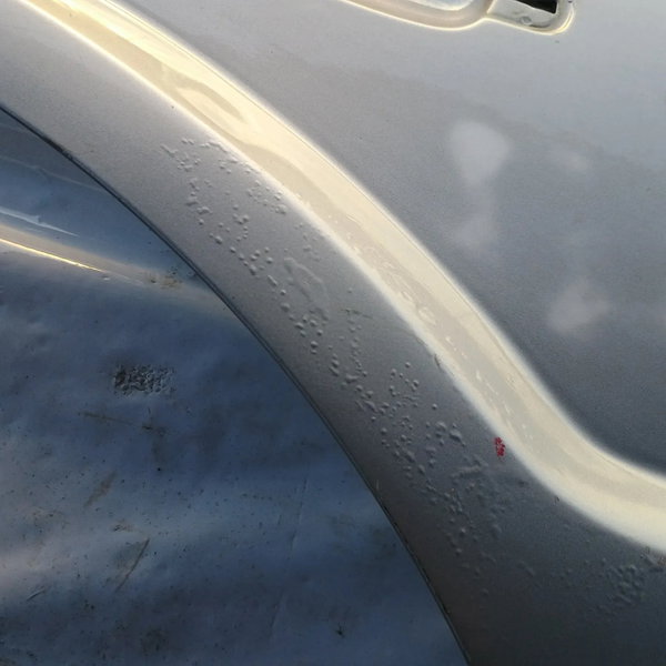 Porta Lado Direito Traseiro Ford Ecosport 2007 C/ Detalhes Traseira Direito Prateado