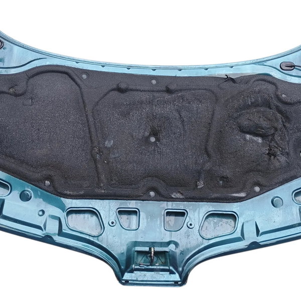 Capo Dianteiro Renault Scenic 1999