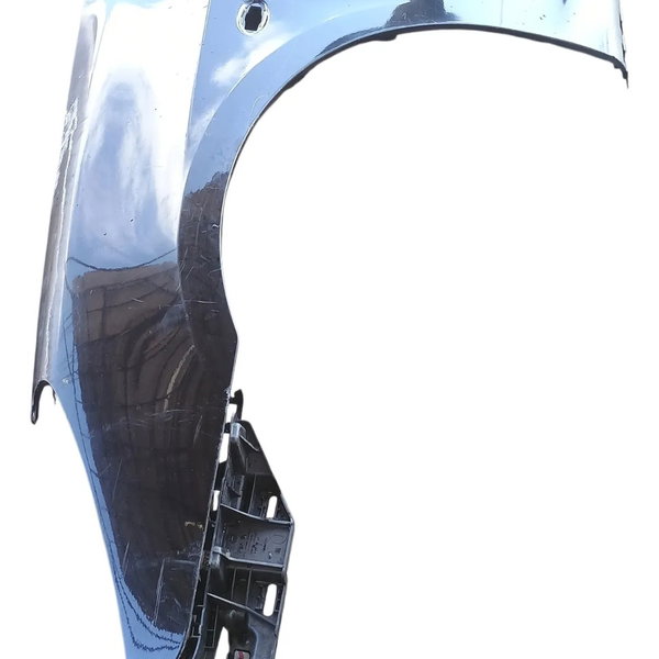Paralama Lado Esquerdo Peugeot 307 2006