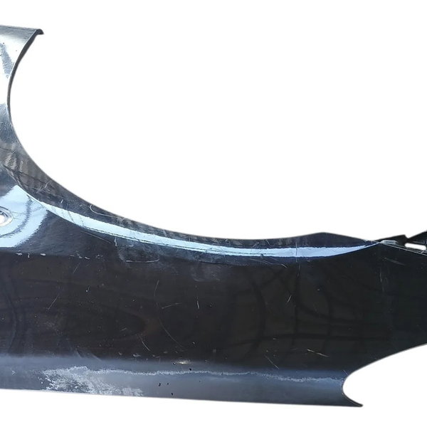 Paralama Lado Esquerdo Peugeot 307 2006