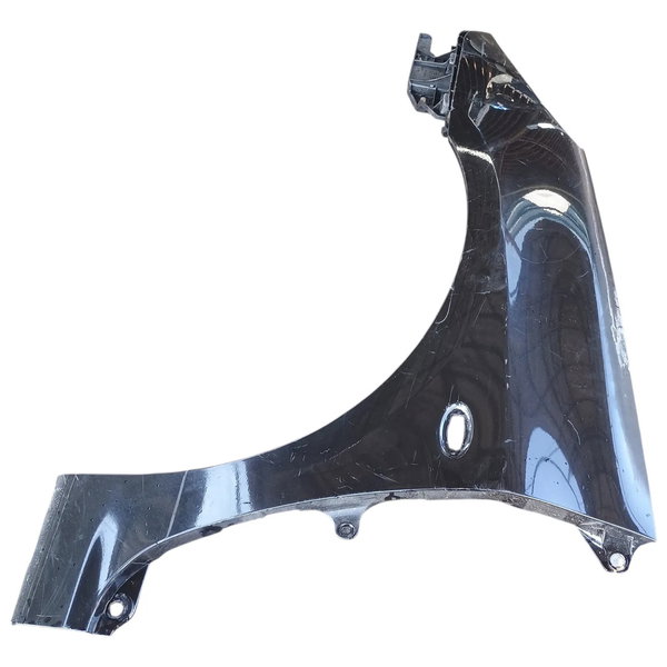 Paralama Lado Esquerdo Peugeot 307 2006