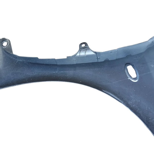 Paralama Lado Esquerdo Peugeot 307 2006