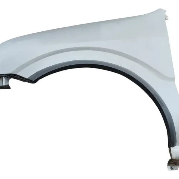 Paralama Esquerdo Ford Ecosport 2003 2004 A 2007